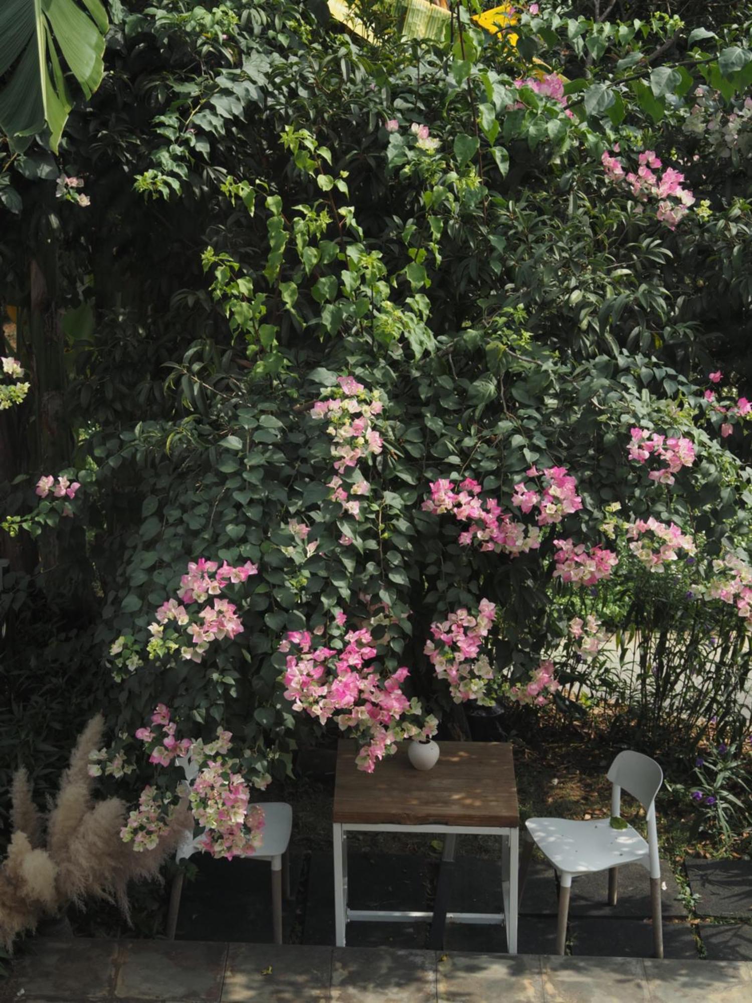 Yangshuo Hillside Homestay Buitenkant foto
