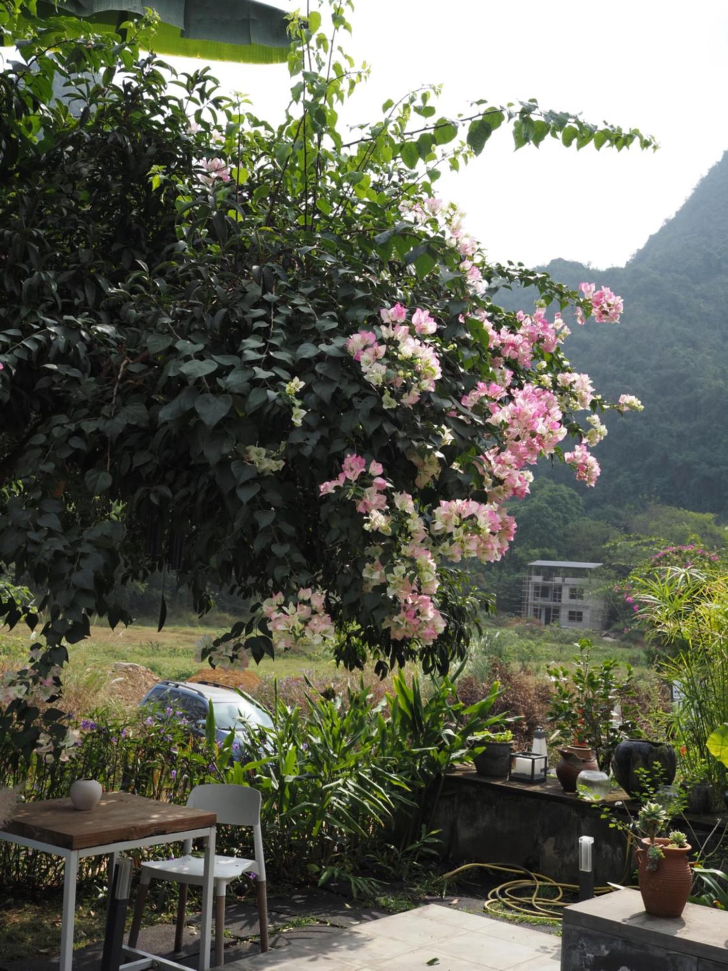 Yangshuo Hillside Homestay Buitenkant foto