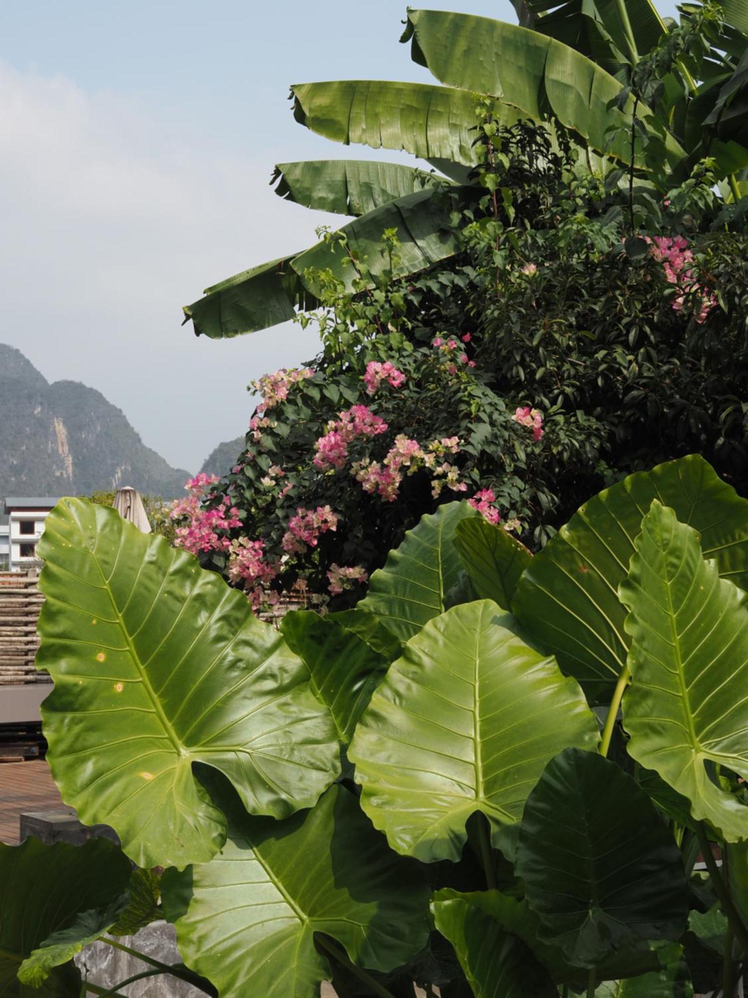 Yangshuo Hillside Homestay Buitenkant foto