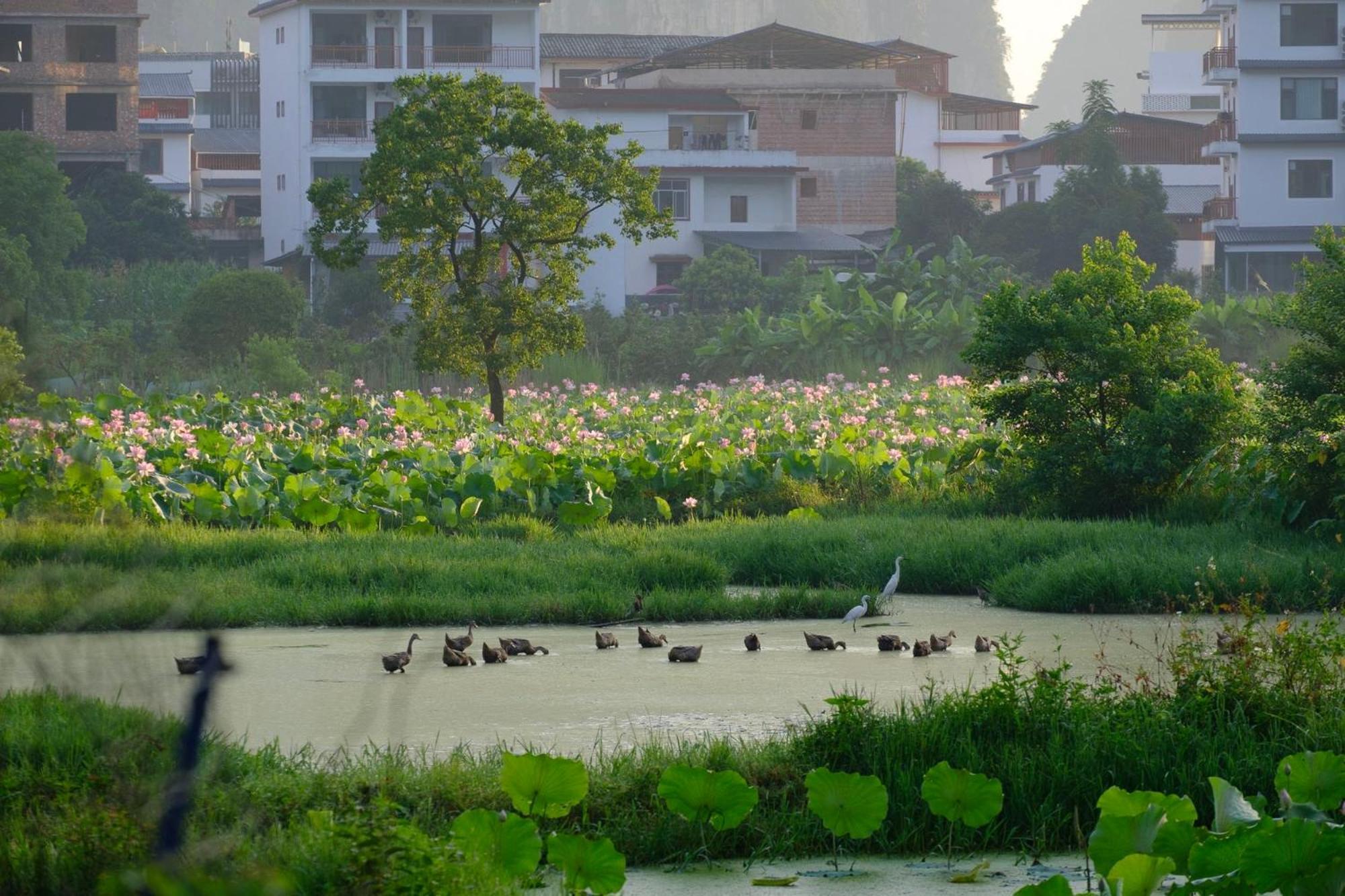 Yangshuo Hillside Homestay Buitenkant foto