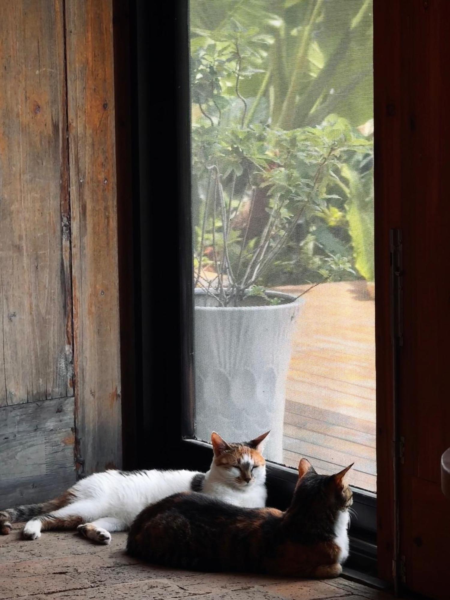 Yangshuo Hillside Homestay Buitenkant foto