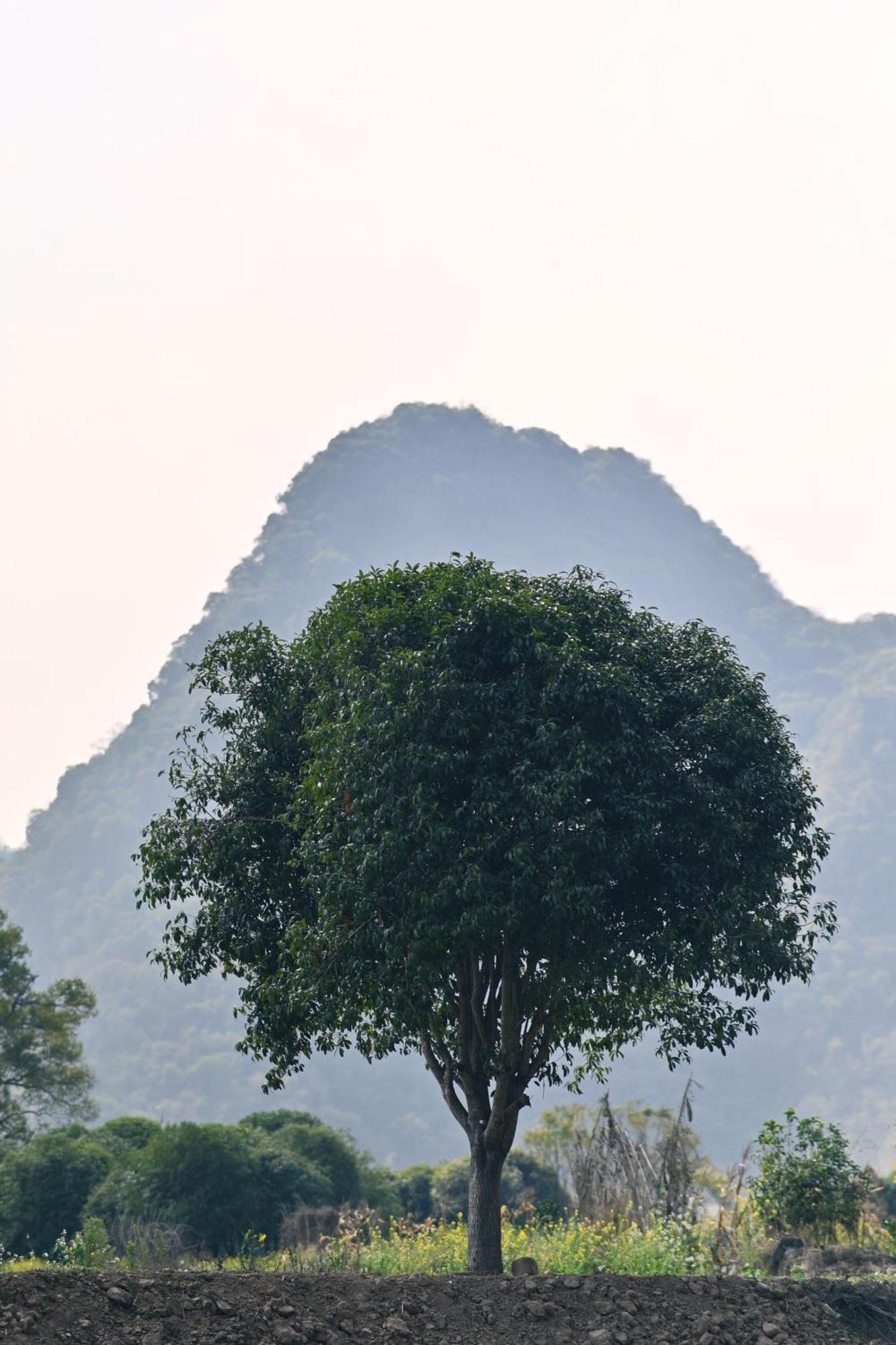 Yangshuo Hillside Homestay Buitenkant foto