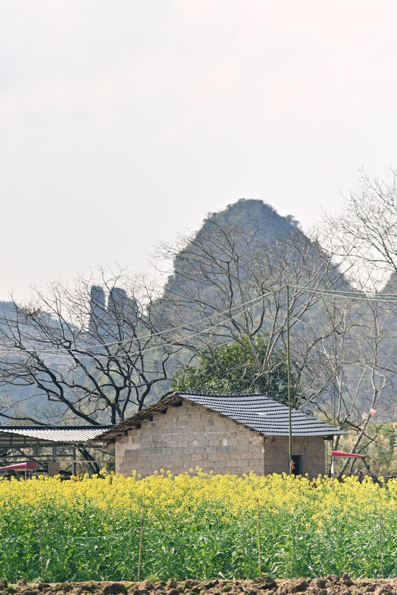 Yangshuo Hillside Homestay Buitenkant foto